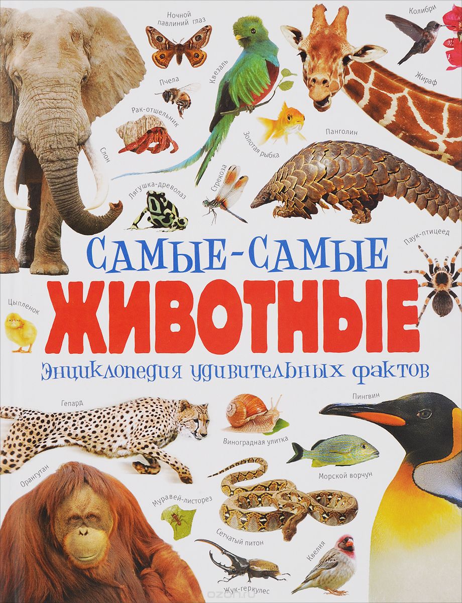 Скачать книгу "Самые-самые животные. Энциклопедия удивительных фактов, Камилла де ла Бедуайер"