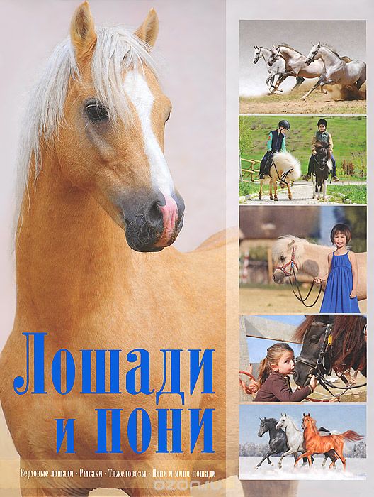 Скачать книгу "Лошади и пони, В. М. Жабцев"