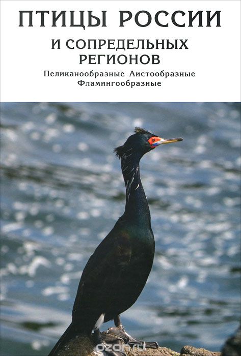 Скачать книгу "Птицы России и сопредельных регионов. Пеликанообразные, Аистообразные, Фламингообразные"