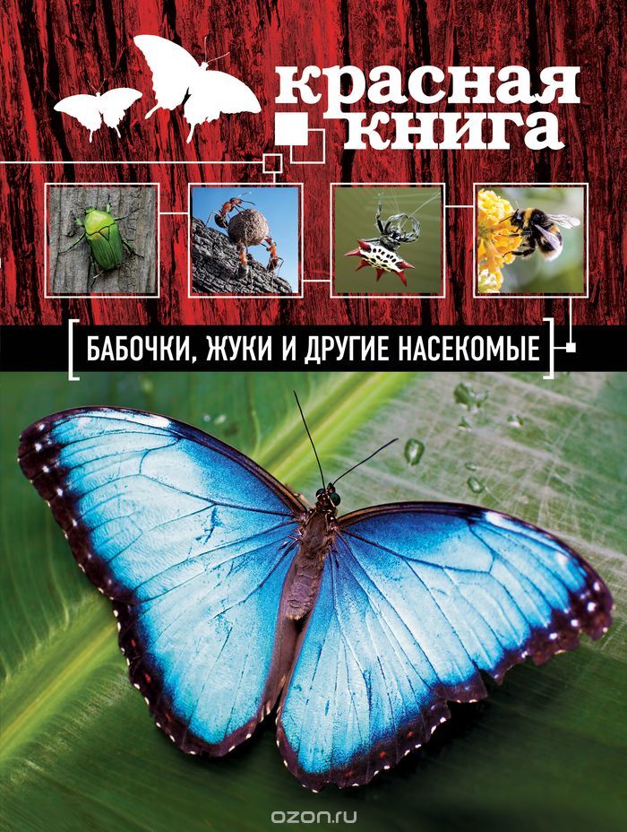 Красная книга. Бабочки, жуки и другие насекомые, Ольга Харькова