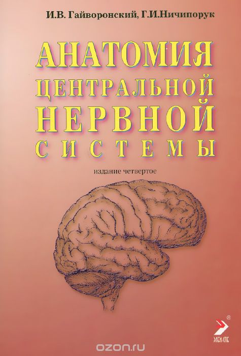 Анатомия центральной нервной системы. Краткий курс. Учебное пособие, И. В. Гайворонский, Г. И. Ничипорук