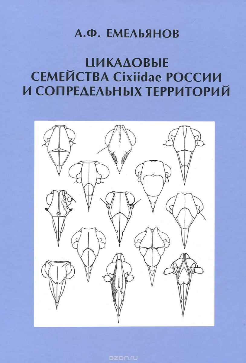 Цикадовые семейства Cixiidae России и сопредельных территорий, А. Ф. Емельянов