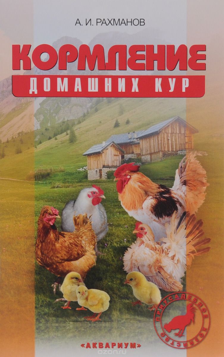 Кормление домашних кур, А. И. Рахманов