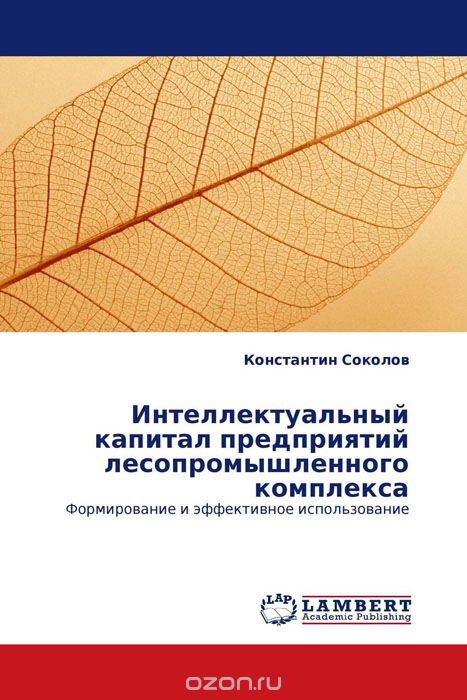 Интеллектуальный капитал предприятий лесопромышленного комплекса, Константин Соколов