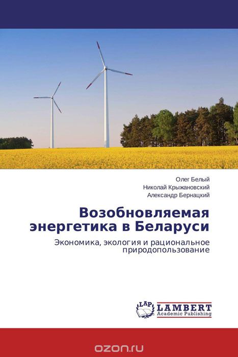 Возобновляемая энергетика в Беларуси, Олег Белый, Николай Крыжановский und Александр Бернацкий