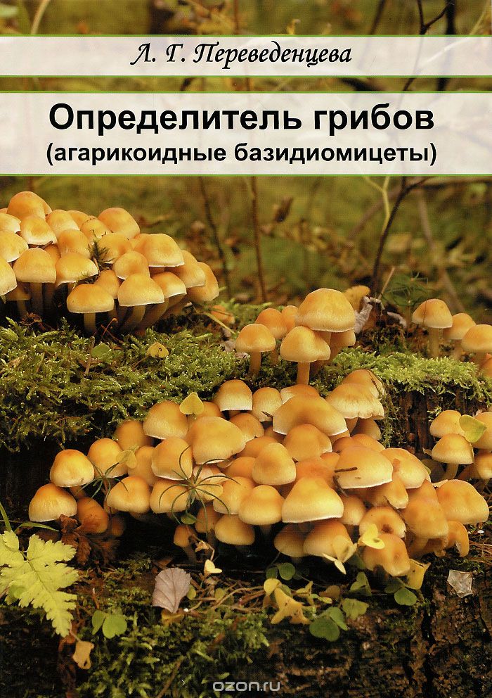 Определитель грибов (агарикоидные базидиомицеты). Учебное пособие, Л. Г. Переведенцева