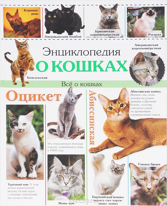 Скачать книгу "Энциклопедия о кошках. Все о кошках"