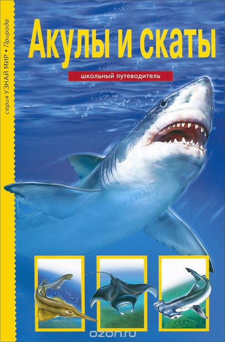 Скачать книгу "Акулы и скаты. Школьный путеводитель, Ю. А. Дунаева"